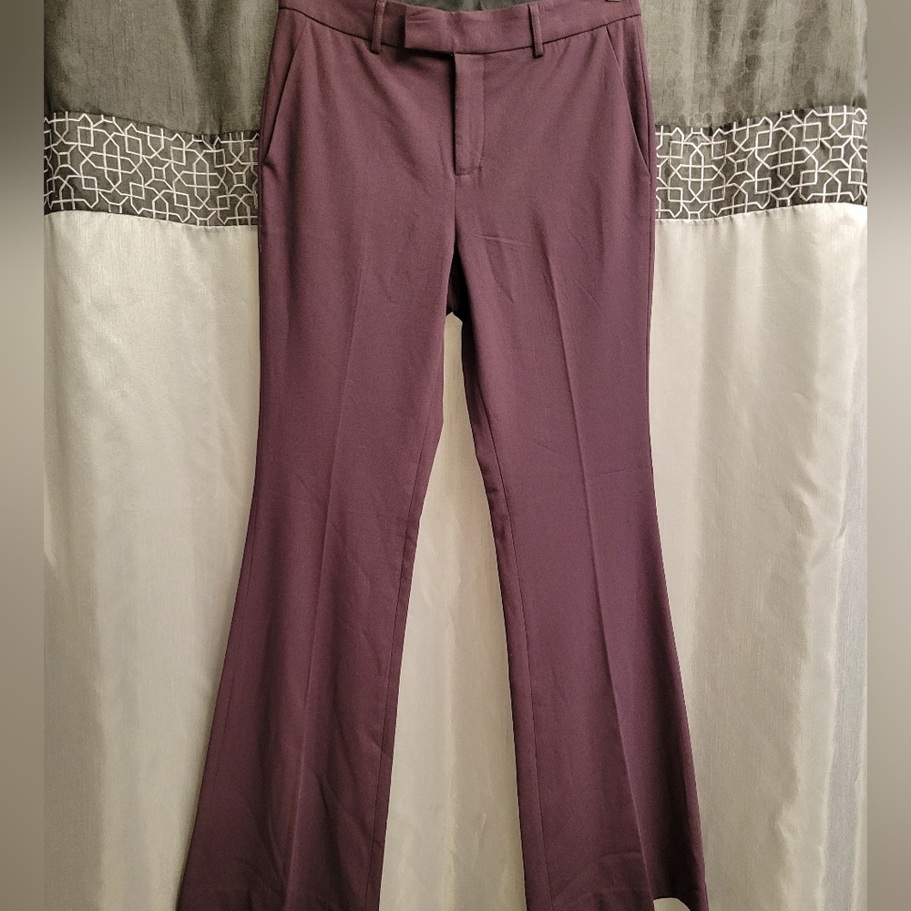Tahari Purple/Wine Flared Trousers